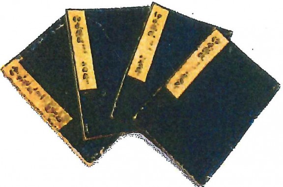 伊水温故（伊賀市上野図書館蔵）